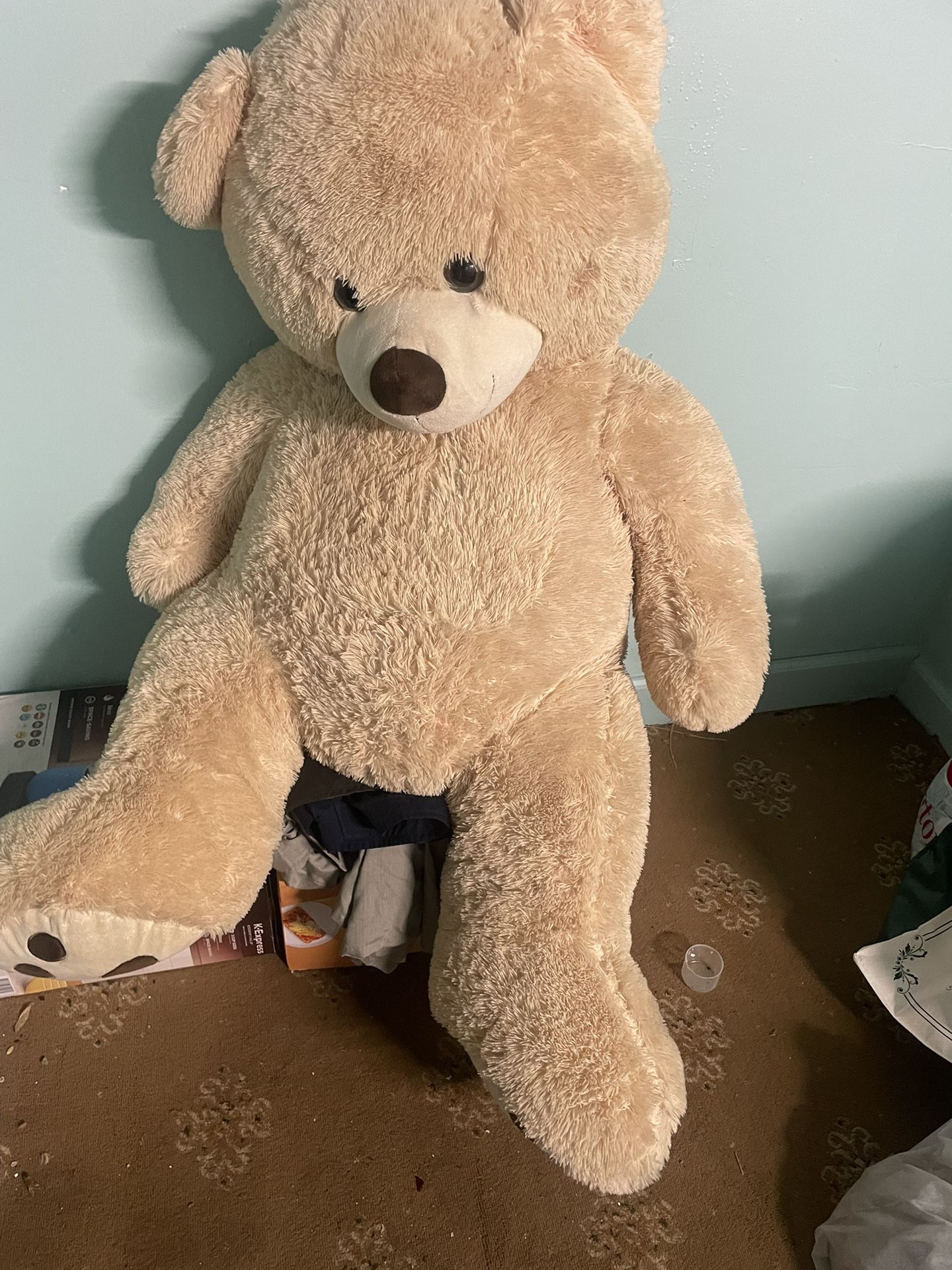 Teddy Bear