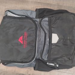 Ozark Trails Insulated Bag