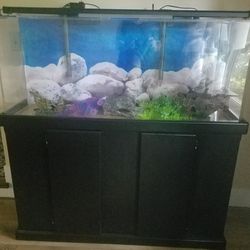 CLEAR FOR LIFE ACRYLIC RECTANGLE TANK 55 GALLON W/BACKGROUND  SCENERY , HOOD NOT  SHOWN & 2 FLUVAL 70 POWER FILTERS.