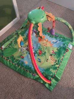 Rainforest Lights Gym. 