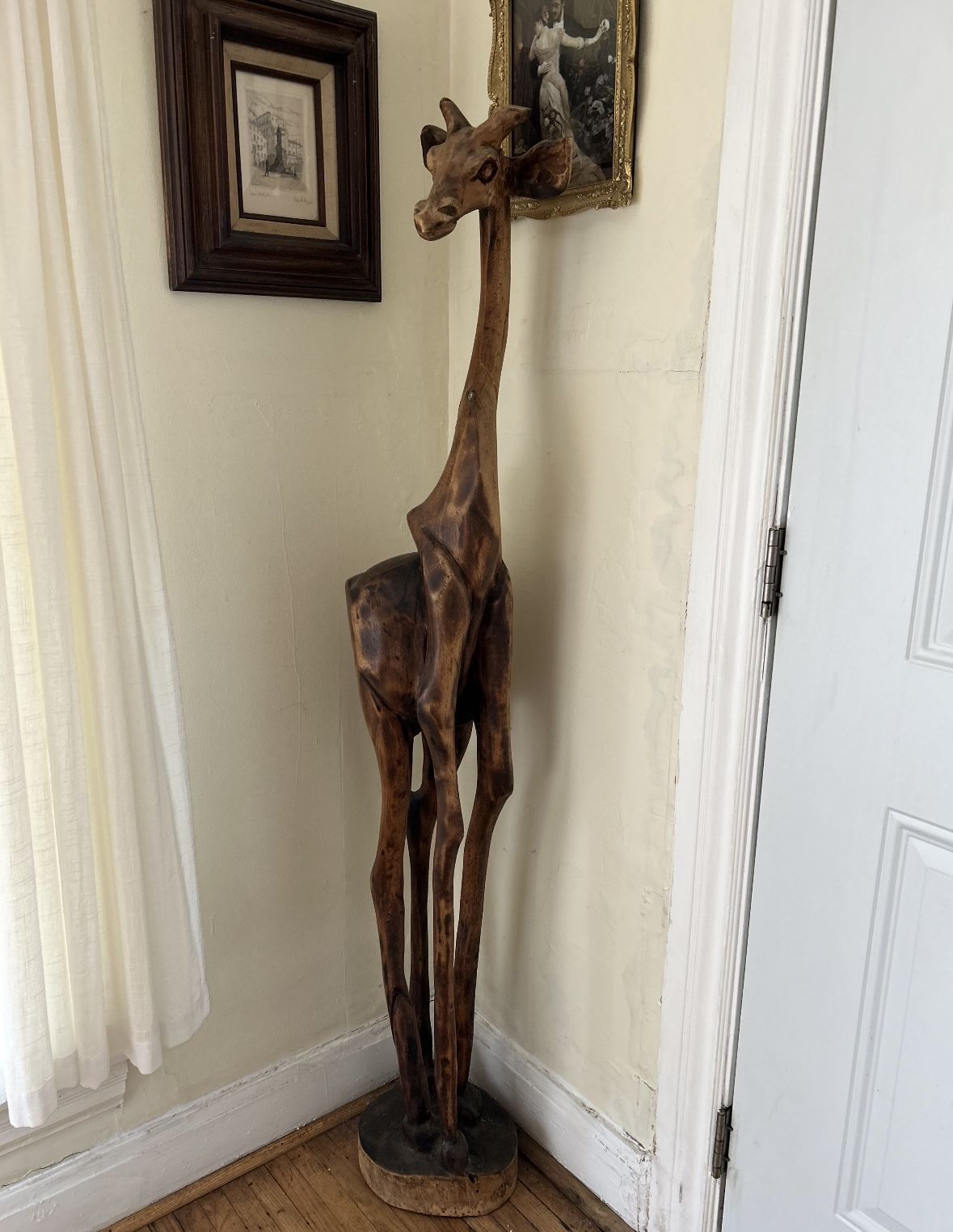 African Giraffe