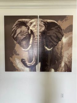 Large Elephant Canvas