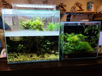 Aquascaping supplies store