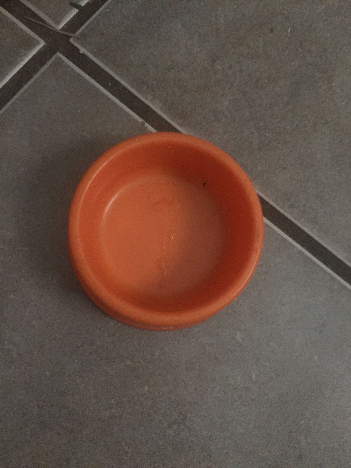 hamster food bowl