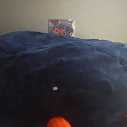 Big Bean Bag