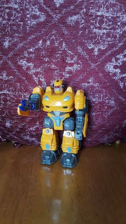 Robot