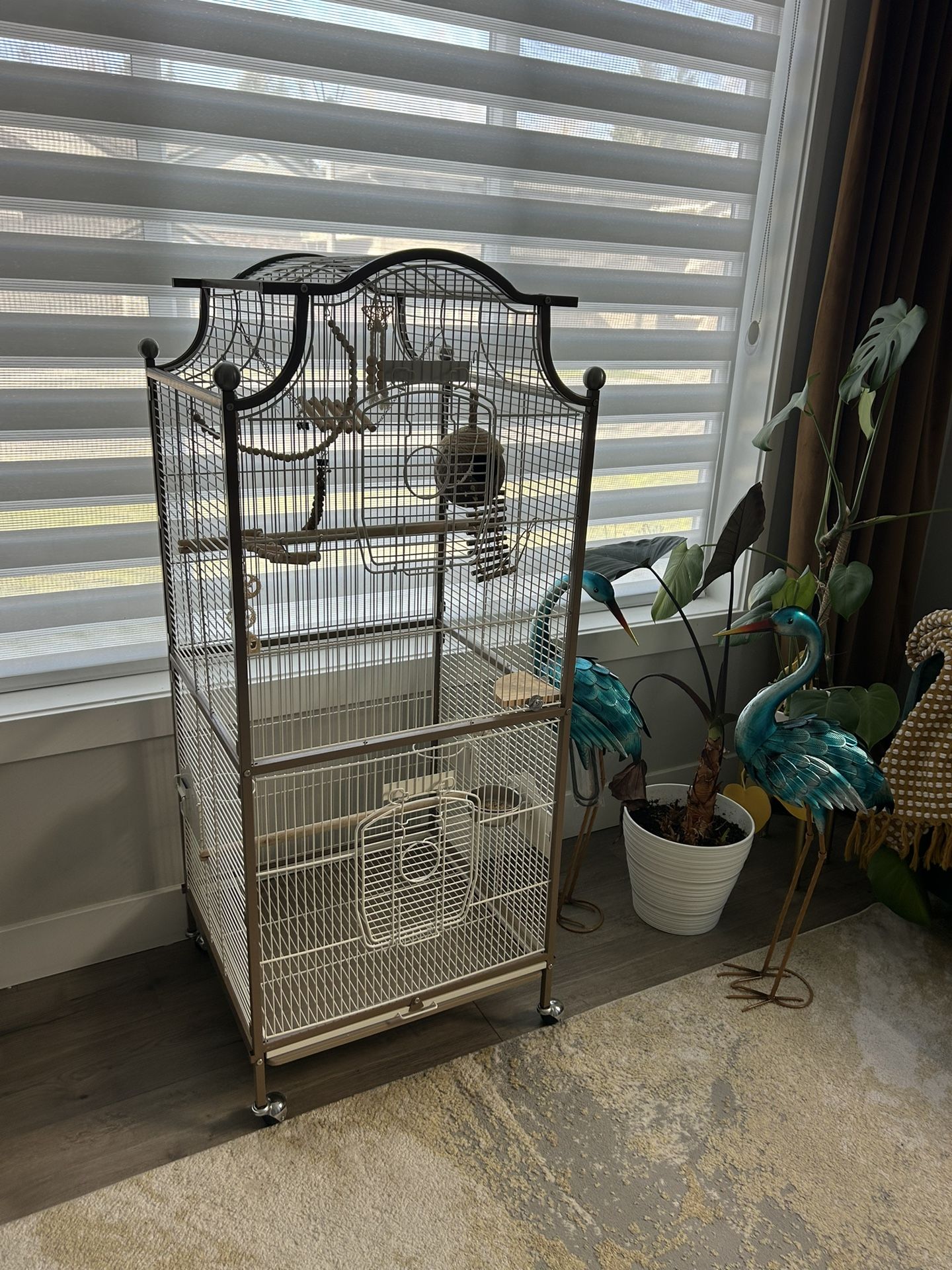 Bird Cage