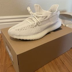 Yeezy Boost 350 Bone Size 12 (Brand New)