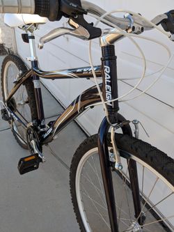 Eva 2.0 cheap bike