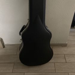 Guitar Case Roadrunner