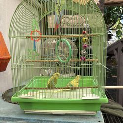 Birdcage 