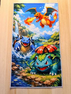 Pokemon Charizard Blastoise Venasaur Rug!