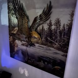 Bald Eagle Picture 