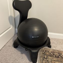 Balance Ball Office Chair