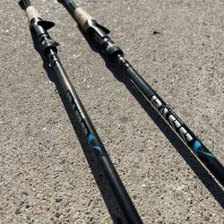 St Croix Casting Rod 