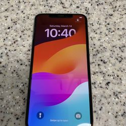 Apple Iphone XS MAX 64gb Unlocked For Any Carrier~no Box~