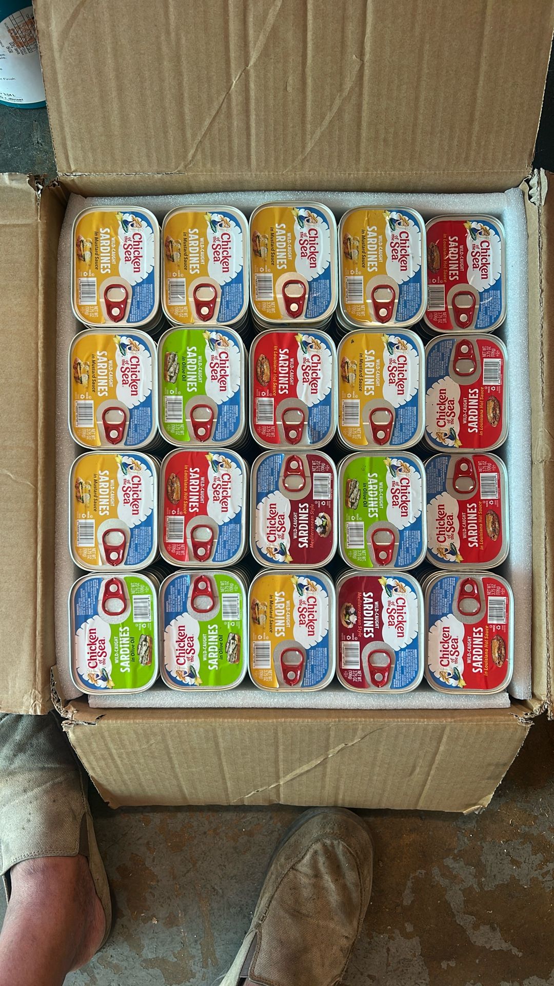Sardinitas