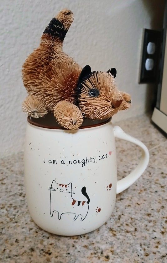 Bristle Brush Cat & I'm A Naughty Cat Mug