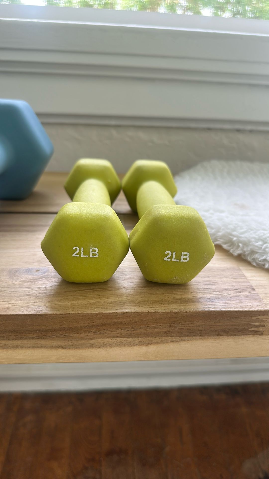 Set Of 2 Lb Dumbbells