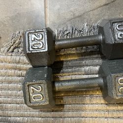 20 LB Dumbbells 