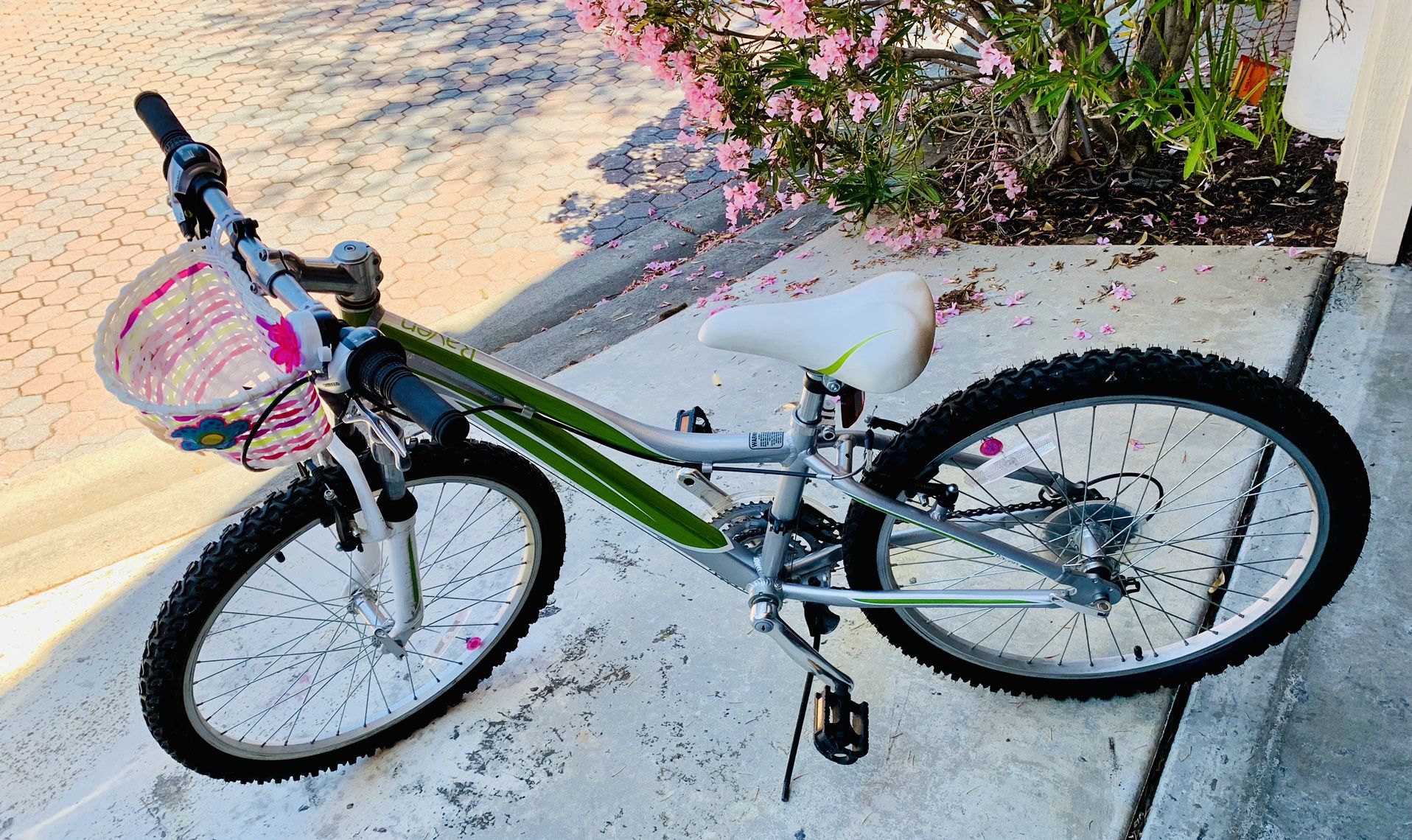 Raven 24 inch bike hotsell