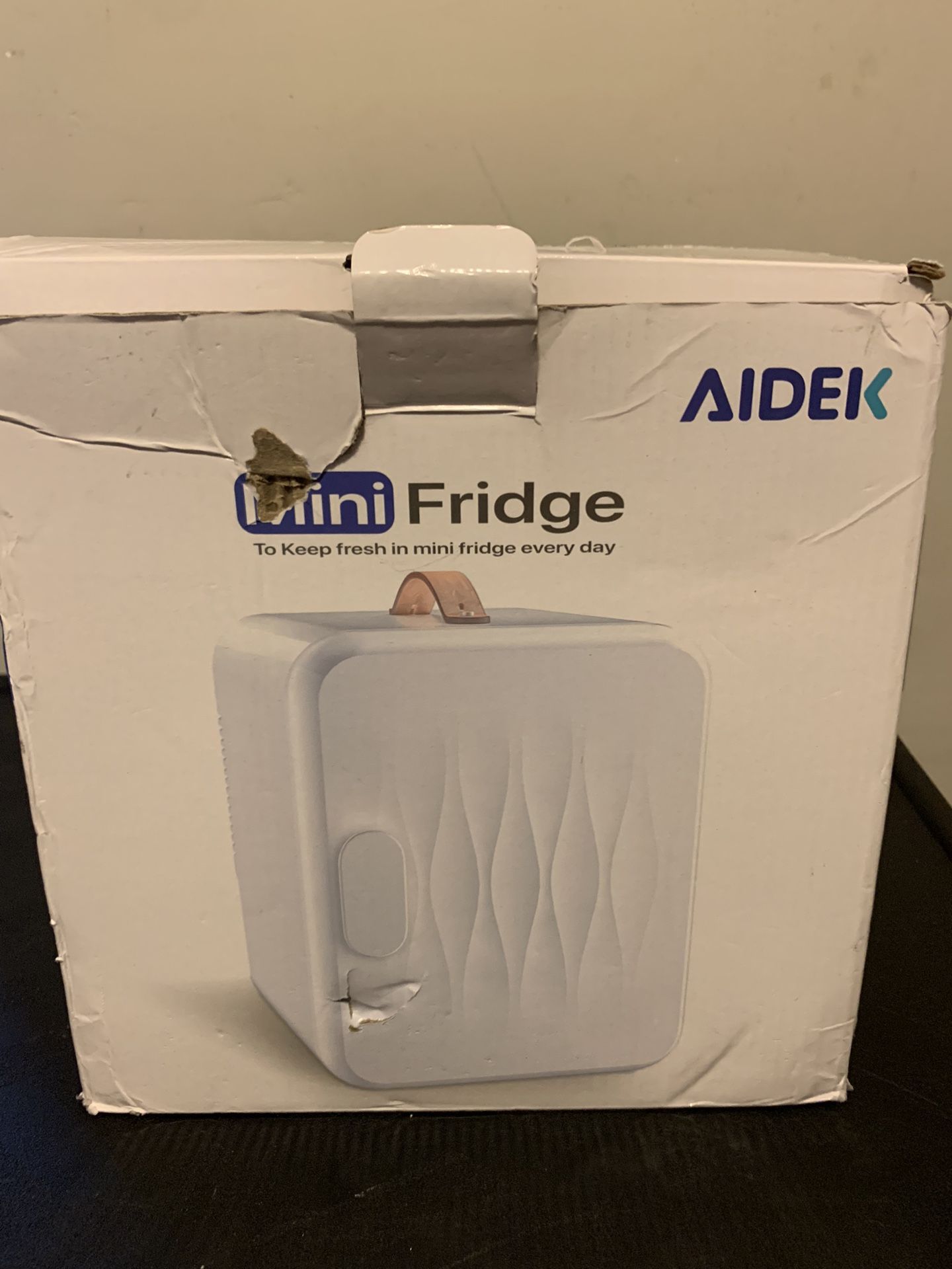 Mini Fridge 