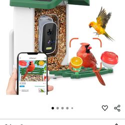 Bird Feeder AI Recognition Solar Charging