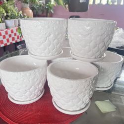 White Ceramic Pot With Plate