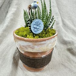 Tiny Succulent With Bird 