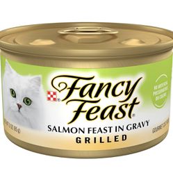 Cat Food 