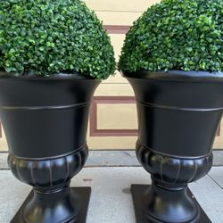 Very  Nice Pots with the plant