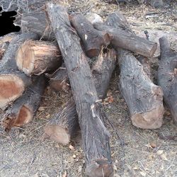 Mesquite Firewood