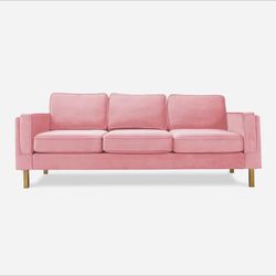 Albany Park Pink Velvet Couch