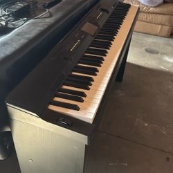 Casio Keyboard