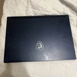 Msi Gaming Pc/laptop
