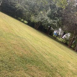 Need Someone To Cut Every 1 Or 2 Week??