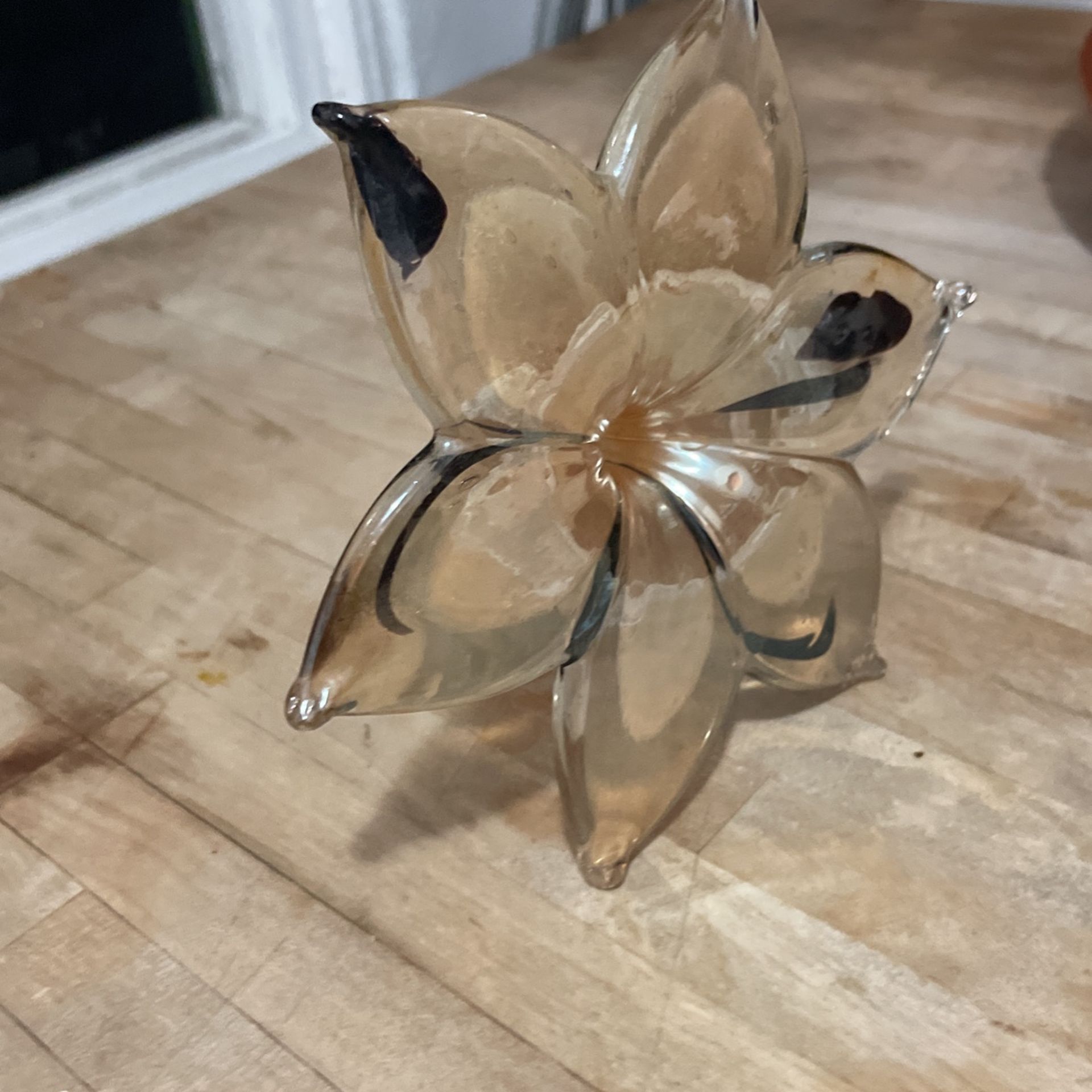 Glass Flower