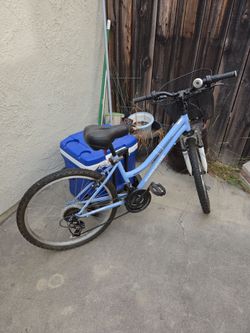 FREE BIKE