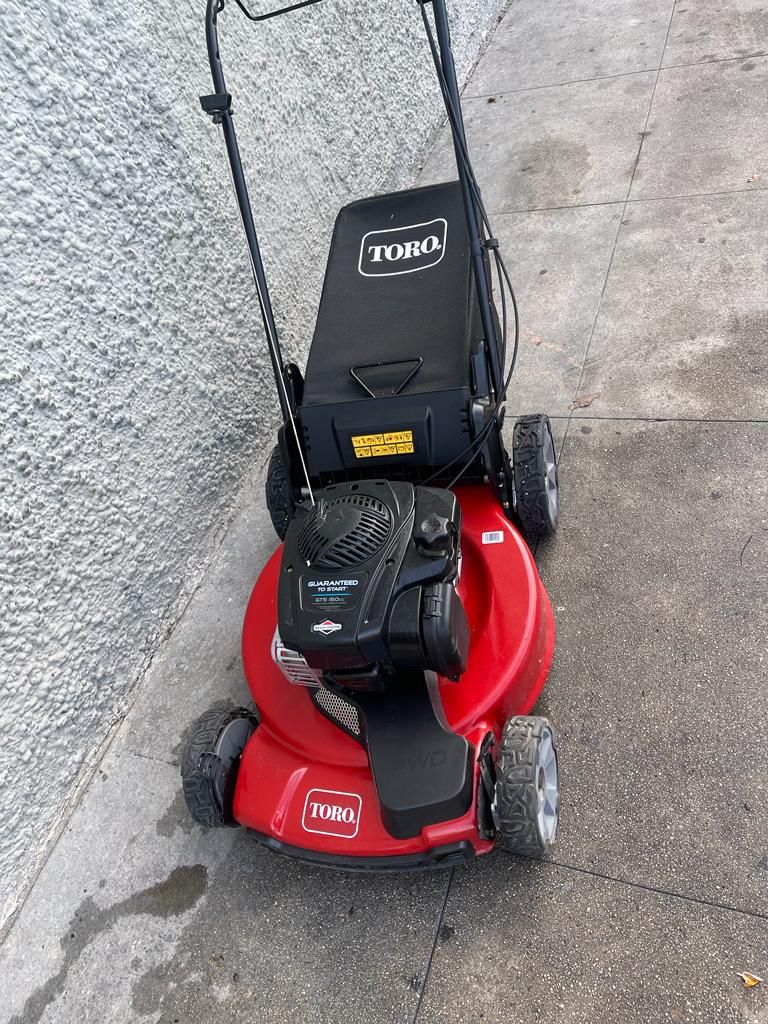 22 in. Recycler Briggs & Stratton High Wheel FWD Gas Walk Behind Self