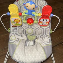 Fisher-Price Baby's Bouncer Geo Meadow infant seat vibrates