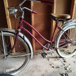 Vintage Murray Bike 