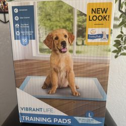 Training Pads
