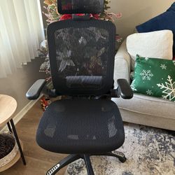 Brand New GABRYLLY Ergonomic office chair