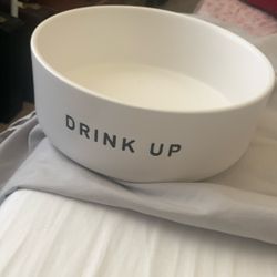 Dog  Bowl