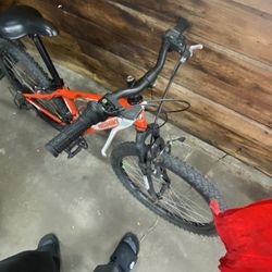 Mountain Bike