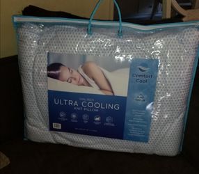 BRAND NEW 2 PILLOWS 20×28