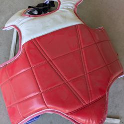 Karate / Taekwondo/ Sparring Chest Guard  Protector - Reversible