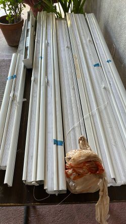 Good Condition Blinds