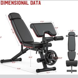 Adjustable Workout Bench