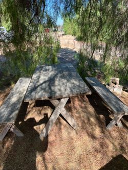 Wood table and branches plus bricks